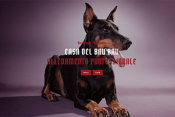web template per allevamento cani - mod.129
