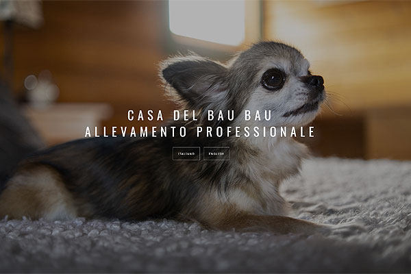 web template per allevamento cani - mod.131