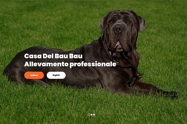 web template per allevamento cani - mod.134