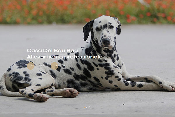 web template per allevamento cani - mod.135