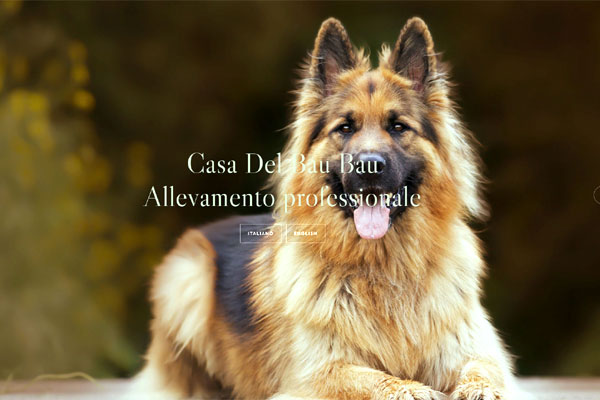 web template allevamento cani mod 136
