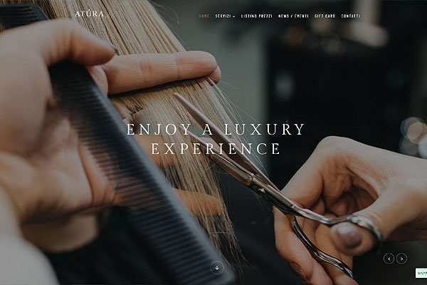 web template hair saloon